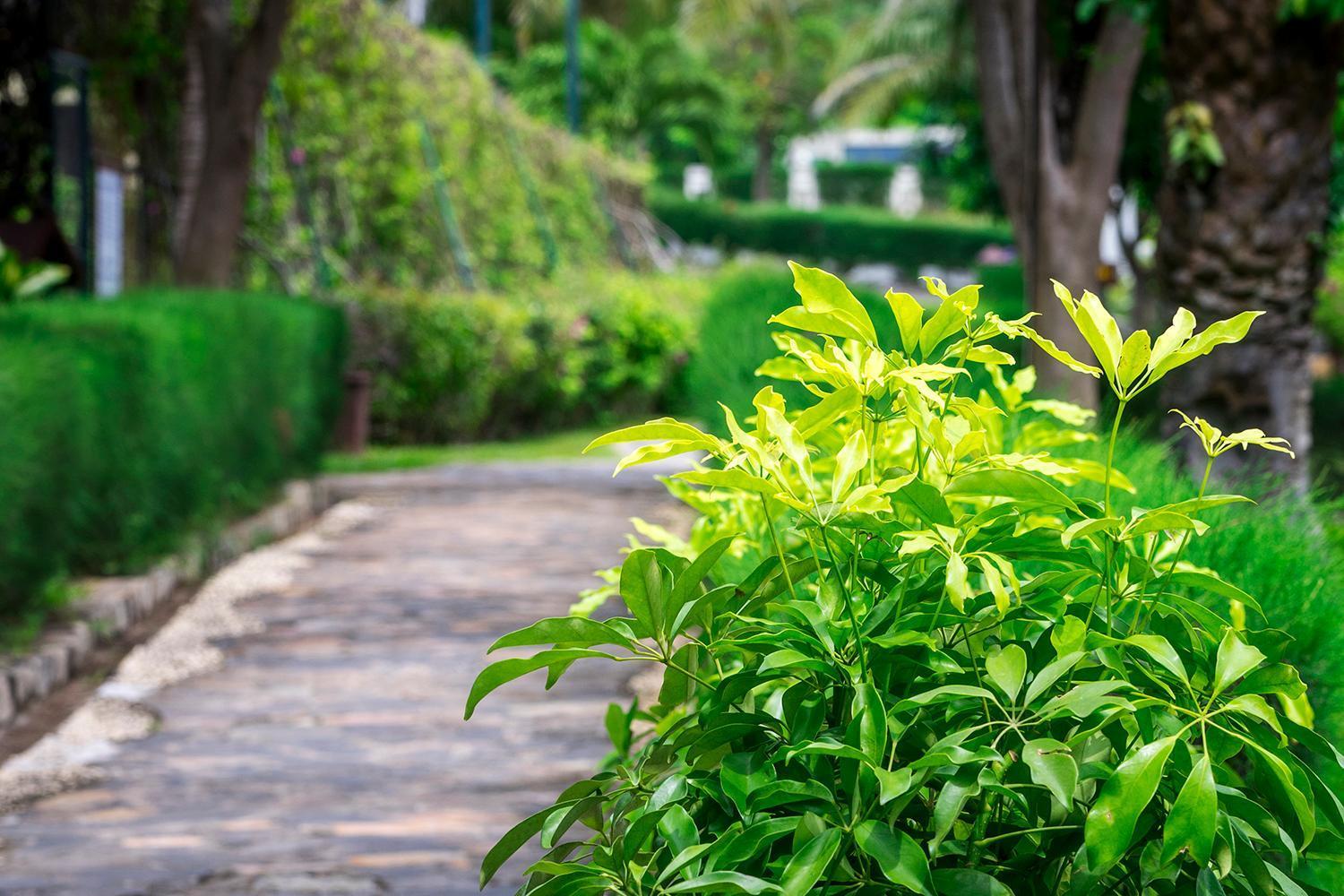 Romana Resort & Spa Μούι Νε Εξωτερικό φωτογραφία